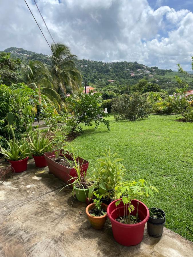 La Colline Business & Tourisme Hotel Le Lamentin Bagian luar foto